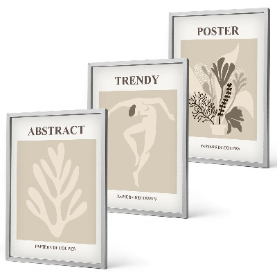 Composizione di quadri Motivi floreali beige marrone