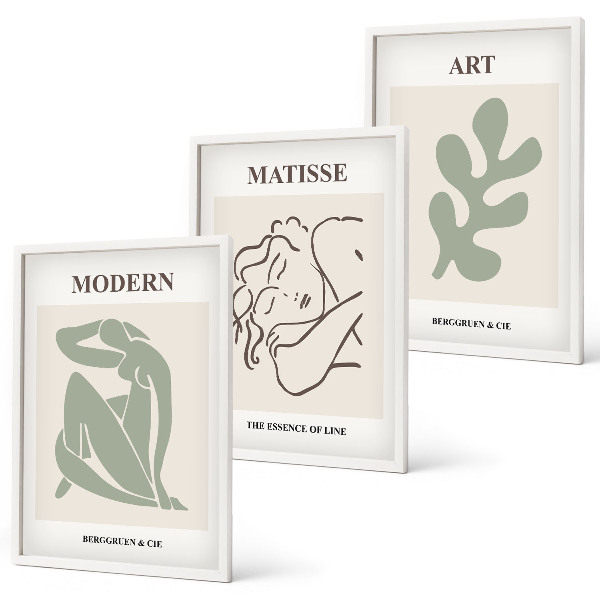 Set di 3 quadri Design elegante di personaggi vegetali
