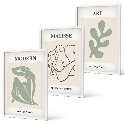 Set di 3 quadri Design elegante di personaggi vegetali