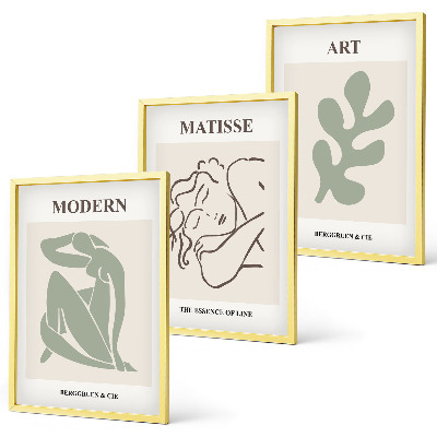 Set di 3 quadri Design elegante di personaggi vegetali