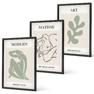Set di 3 quadri con design elegante di personaggi vegetali