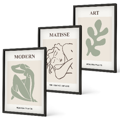 Set di 3 quadri Design elegante di personaggi vegetali