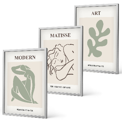Set di 3 quadri Design elegante di personaggi vegetali