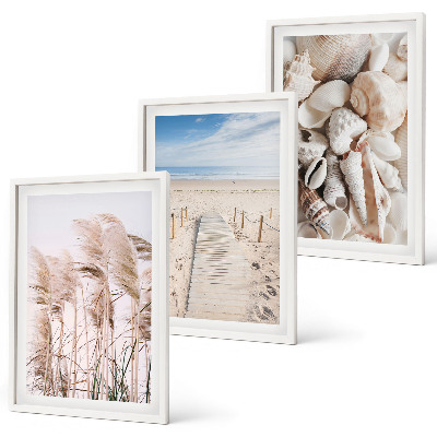 Set di 3 quadri conchiglie da spiaggia alghe marine