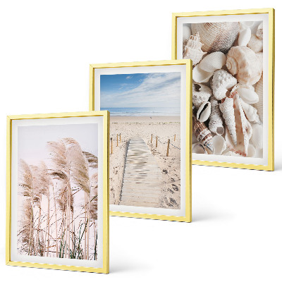 Set di 3 quadri conchiglie da spiaggia alghe marine