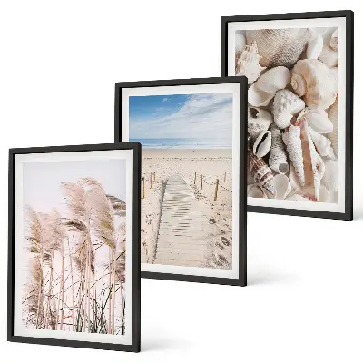 Set di 3 quadri con conchiglie e alghe marine