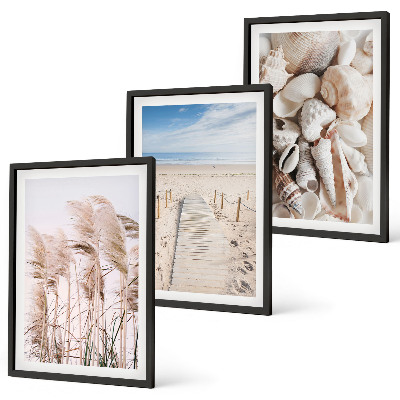 Set di 3 quadri conchiglie da spiaggia alghe marine
