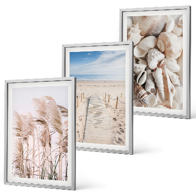 Set di 3 quadri conchiglie da spiaggia alghe marine