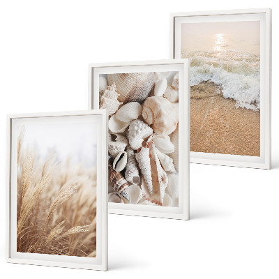 Set di quadri incorniciati Motivi da spiaggia, conchiglie, onde
