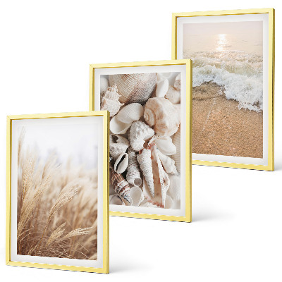 Set di quadri incorniciati Motivi da spiaggia, conchiglie, onde