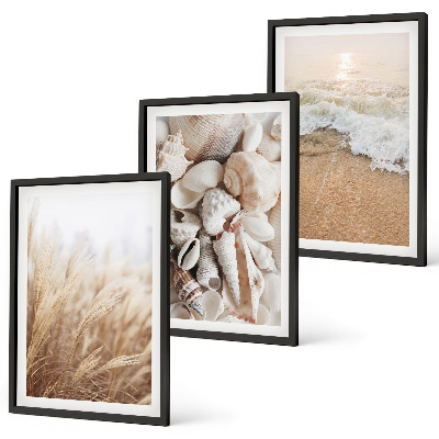 Set di quadri incorniciati Motivi da spiaggia, conchiglie, onde