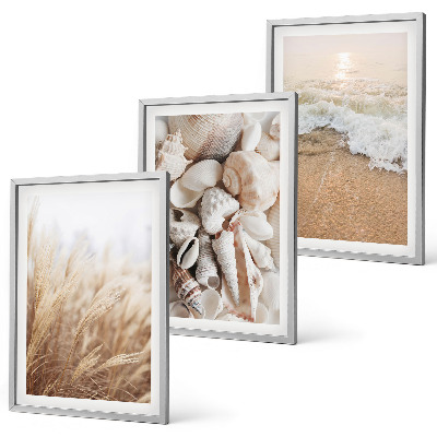 Set di quadri incorniciati Motivi da spiaggia, conchiglie, onde