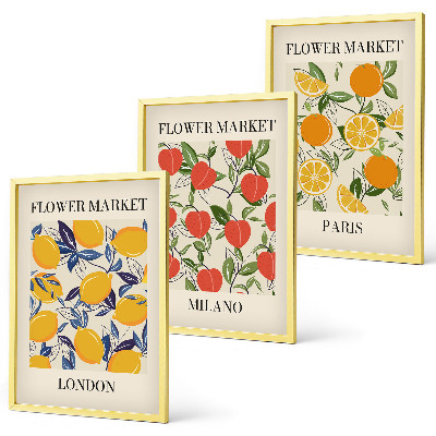 Set di 3 quadri Manifesti floreali nelle città