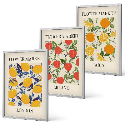 Set di 3 quadri Manifesti floreali nelle città