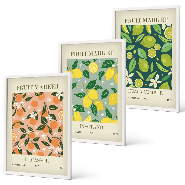 Set di quadri incorniciati Motivi floreali di agrumi