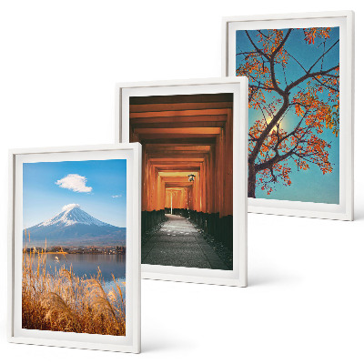 Set di quadri incorniciati paesaggi naturali giapponesi