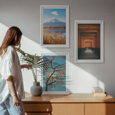 Set di quadri incorniciati paesaggi naturali giapponesi