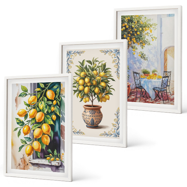 Set di quadri incorniciati Frutti di limoni al sole