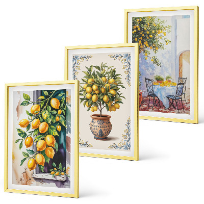Set di quadri incorniciati Frutti di limoni al sole