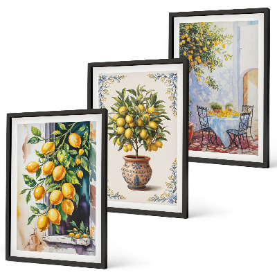 Set di quadri incorniciati Frutti di limoni al sole