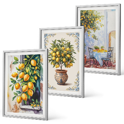 Set di quadri incorniciati Frutti di limoni al sole