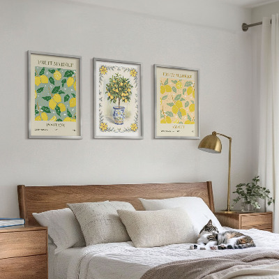 Set di 3 quadri Agrumi Italia