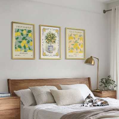 Set di 3 quadri Agrumi Italia