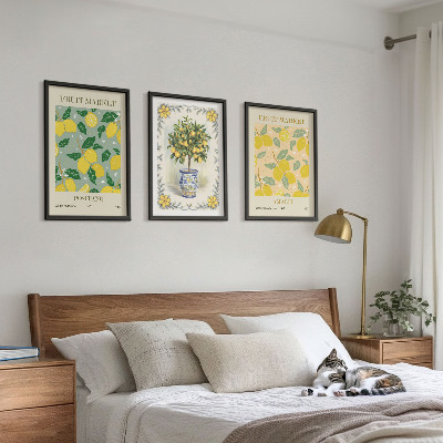 Set di 3 quadri Agrumi Italia