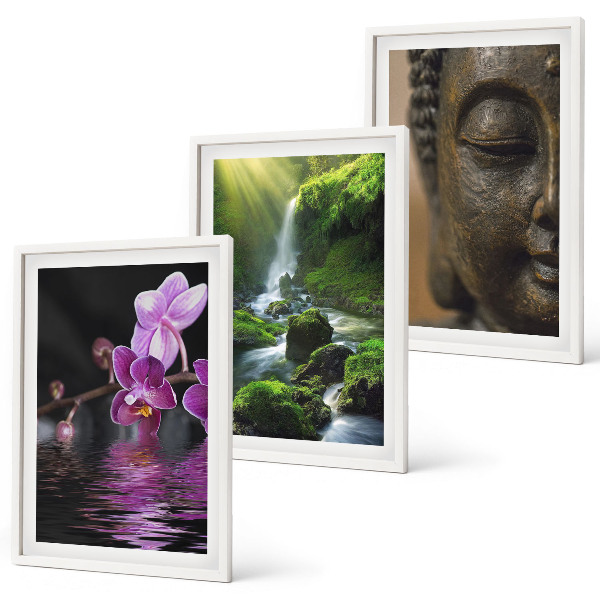 Set di 3 quadri Cascata di fiori, Buddha, roccia Zen