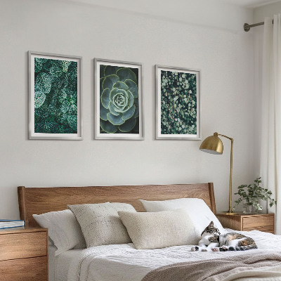 Set di quadri incorniciati Piante succulente