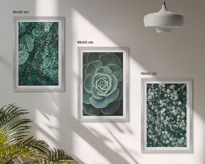 Set di quadri incorniciati Piante succulente