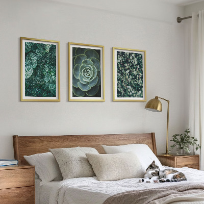 Set di quadri incorniciati Piante succulente