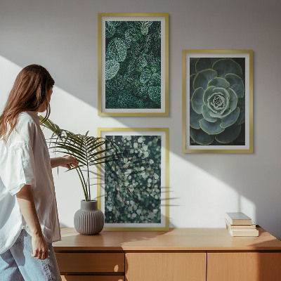 Set di quadri incorniciati Piante succulente