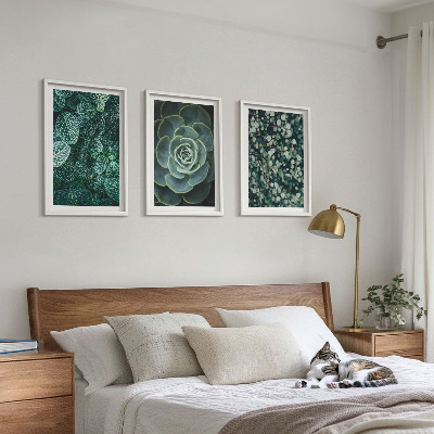 Set di quadri incorniciati Piante succulente