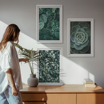 Set di quadri incorniciati Piante succulente