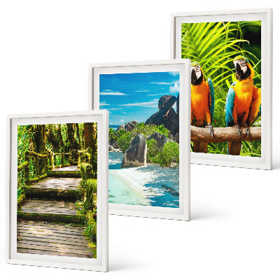 Set di quadri incorniciati cascata con pappagallo della foresta tropicale