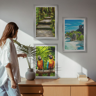 Set di quadri incorniciati cascata con pappagallo della foresta tropicale