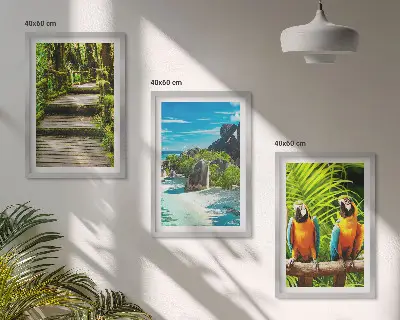 Set di quadri incorniciati con cascata e pappagallo nella foresta tropicale