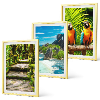 Set di quadri incorniciati cascata con pappagallo della foresta tropicale