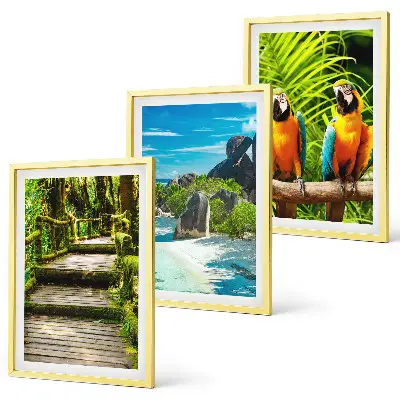 Set di quadri incorniciati con cascata e pappagallo nella foresta tropicale