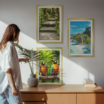 Set di quadri incorniciati cascata con pappagallo della foresta tropicale