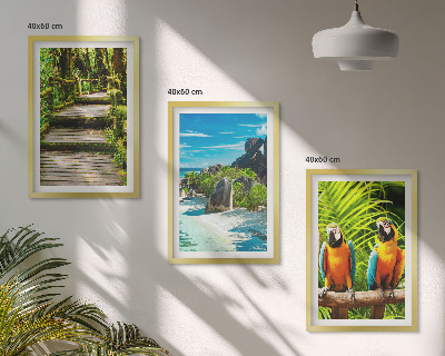 Set di quadri incorniciati cascata con pappagallo della foresta tropicale