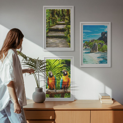 Set di quadri incorniciati cascata con pappagallo della foresta tropicale