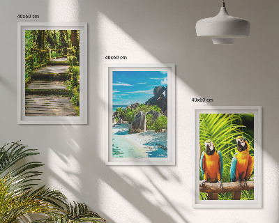 Set di quadri incorniciati cascata con pappagallo della foresta tropicale