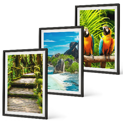 Set di quadri incorniciati cascata con pappagallo della foresta tropicale