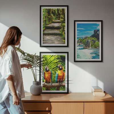 Set di quadri incorniciati cascata con pappagallo della foresta tropicale