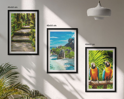Set di quadri incorniciati cascata con pappagallo della foresta tropicale