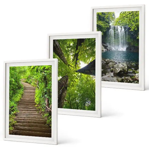 Composizione di quadri con sentiero forestale, cascata e vegetazione