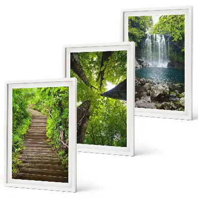 Composizione di quadri con sentiero forestale, cascata e vegetazione