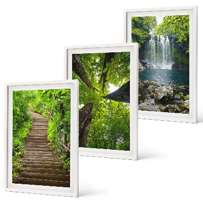 Composizione di quadri Sentiero forestale cascata vegetazione
